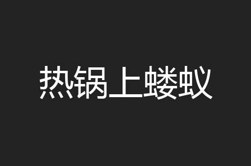 热锅上蝼蚁