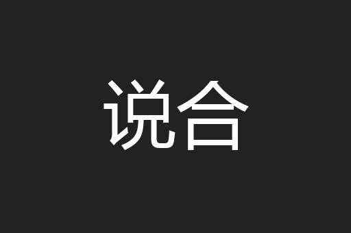 说合