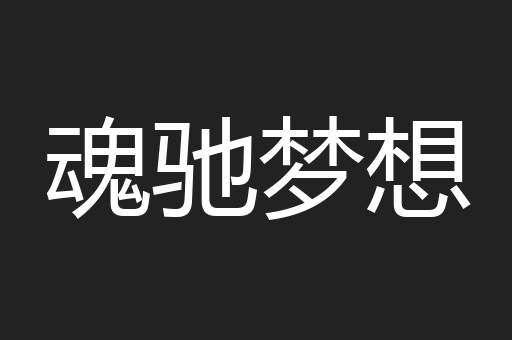 魂驰梦想