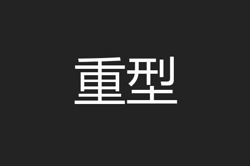 重型