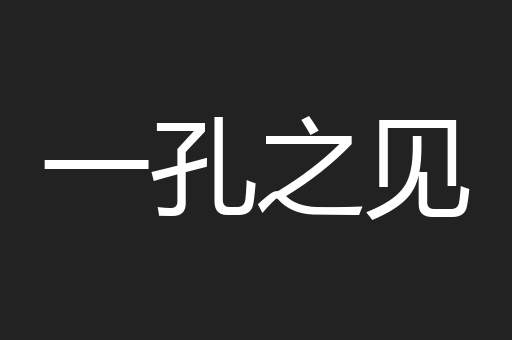 一孔之见