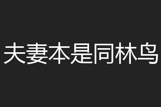 夫妻本是同林鸟