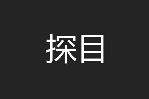 探目