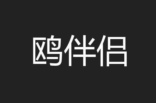 鸥伴侣