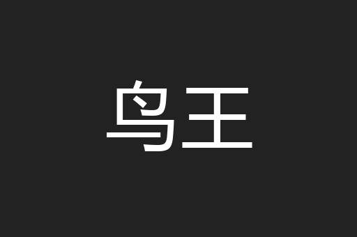 鸟王