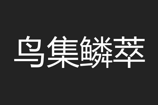 鸟集鳞萃
