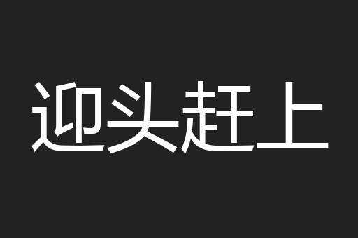 迎头赶上