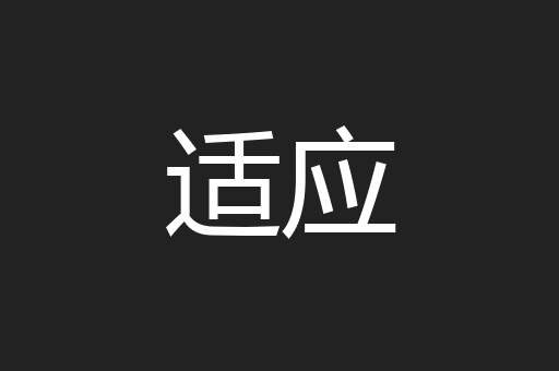 适应