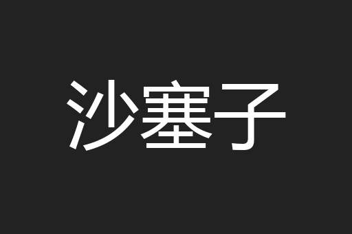 沙塞子