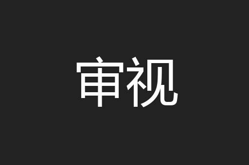 审视