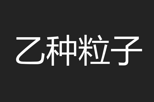 乙种粒子