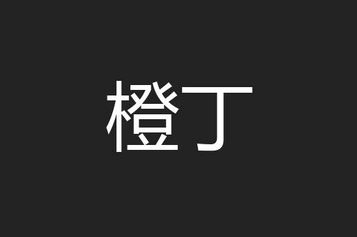 橙丁