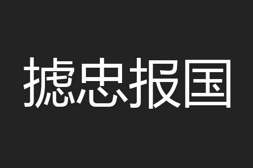摅忠报国