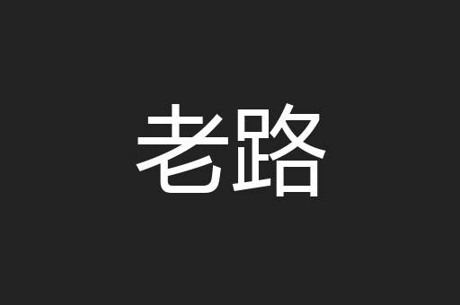 老路