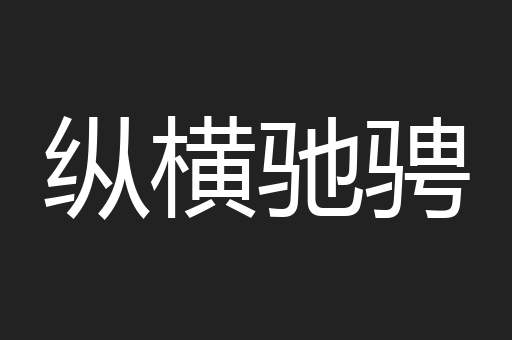 纵横驰骋