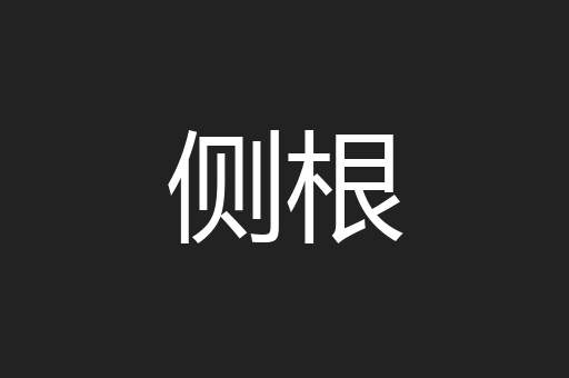 侧根