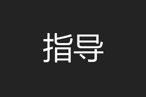 指导