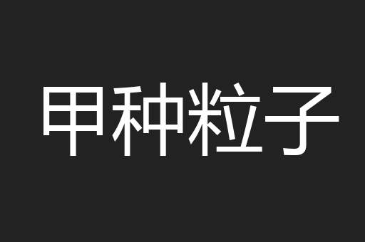 甲种粒子