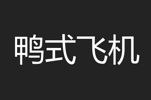 鸭式飞机
