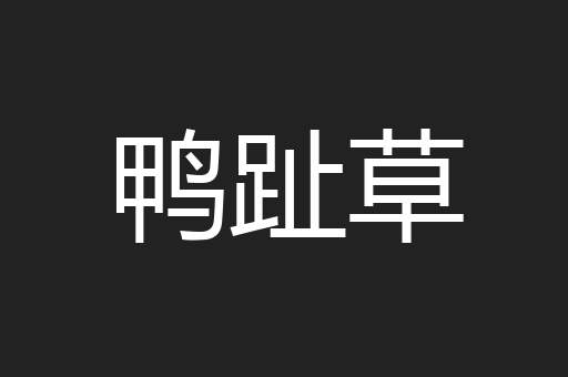 鸭趾草
