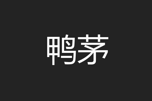 鸭茅