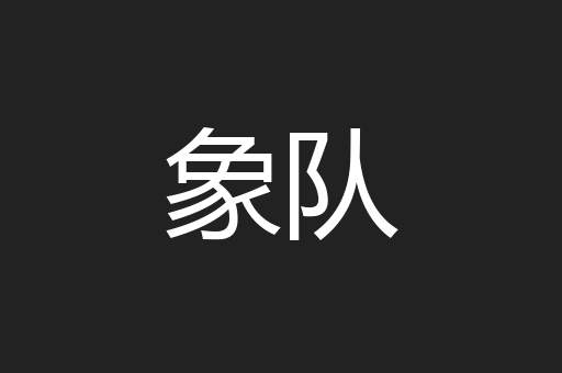象队