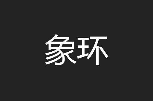 象环