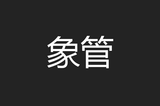 象管