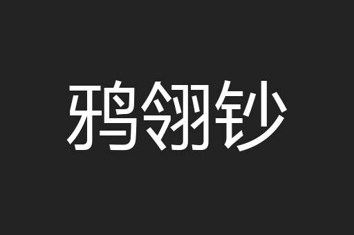 鸦翎钞