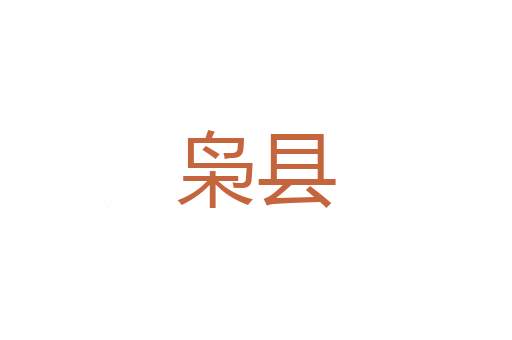 授人口实
