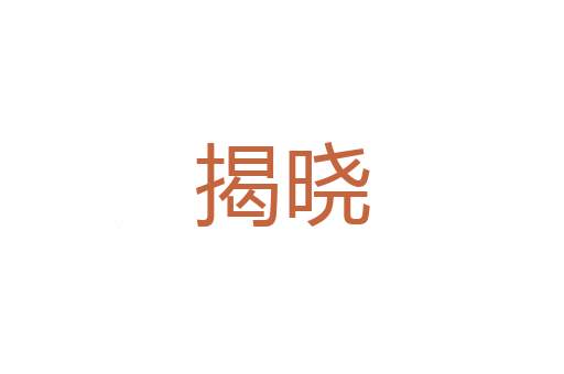 龟脑