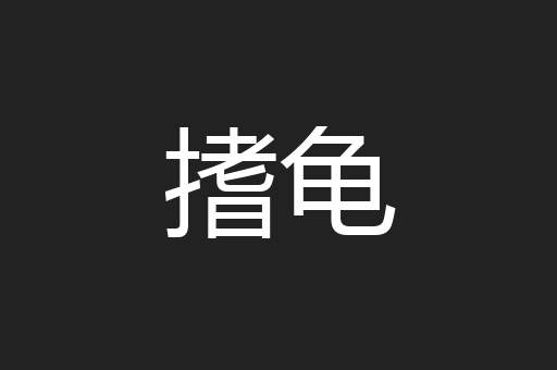 搘龟