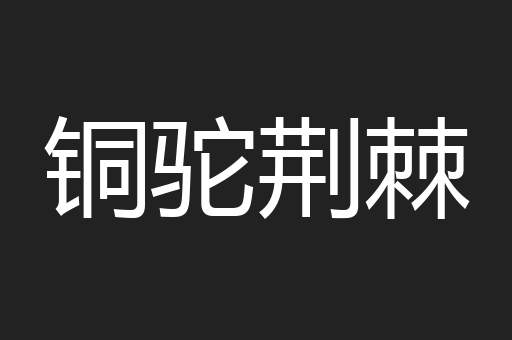 铜驼荆棘