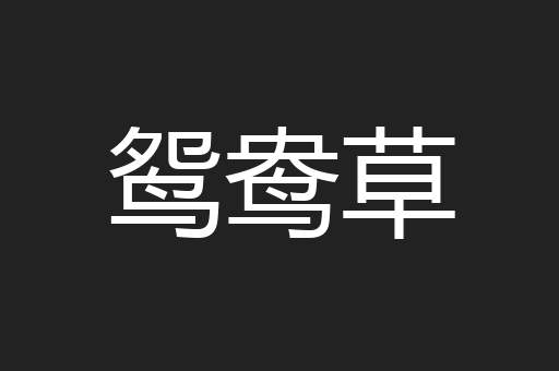 鸳鸯草