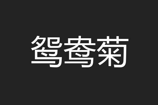 鸳鸯菊
