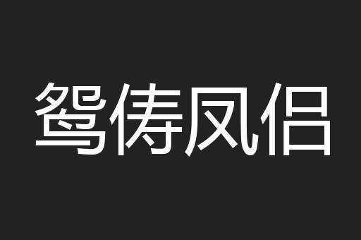 鸳俦凤侣