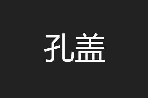 孔盖