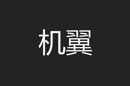机翼