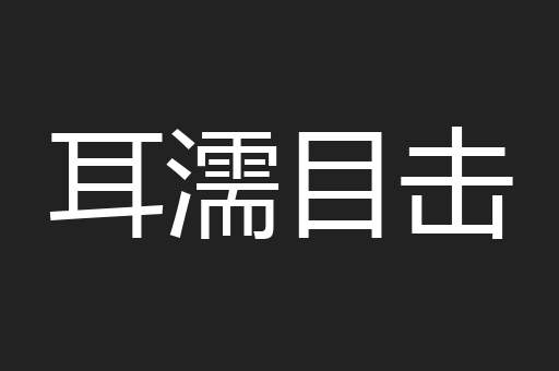 耳濡目击