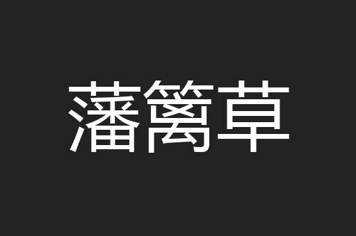 藩篱草