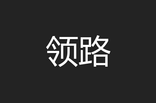 领路