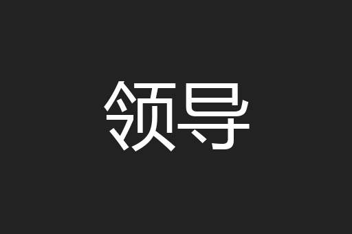 领导