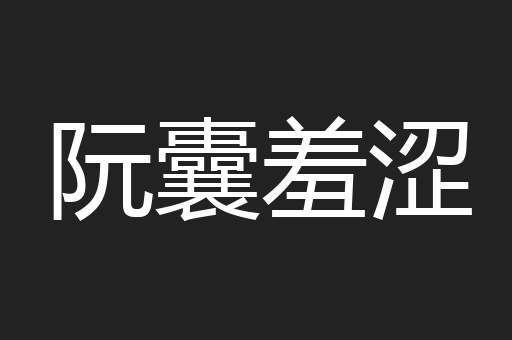 阮囊羞涩
