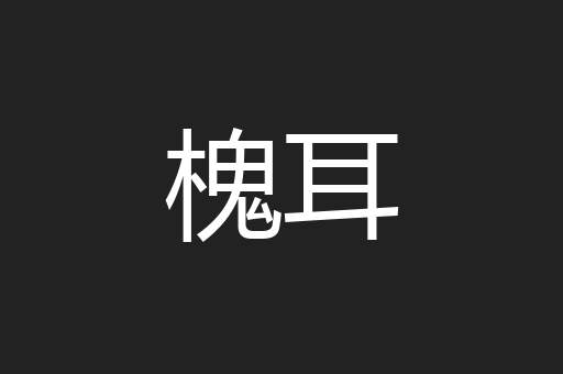 槐耳