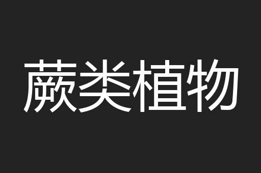 蕨类植物