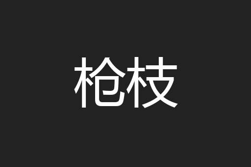 枪枝