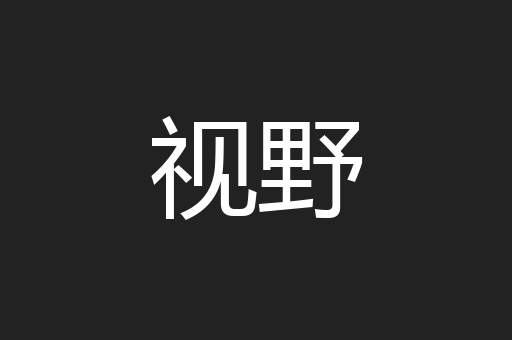 视野