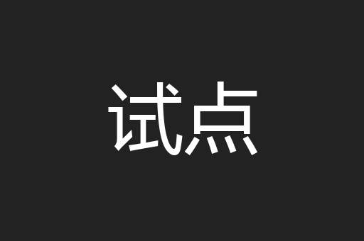 试点