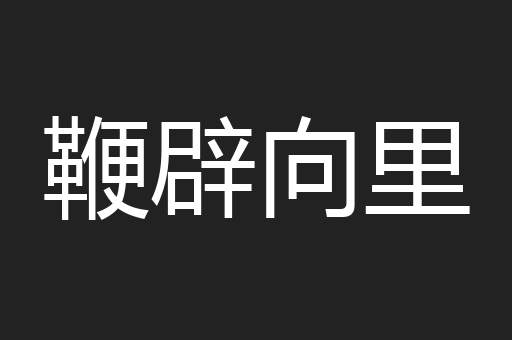 鞭辟向里