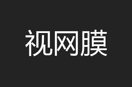 视网膜